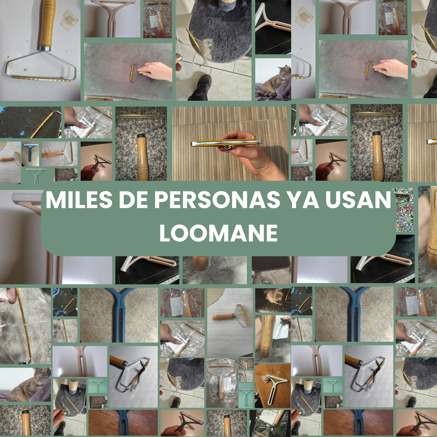 Loomane Elimina Pelusas al Instante + ¡eBook GRATIS!
