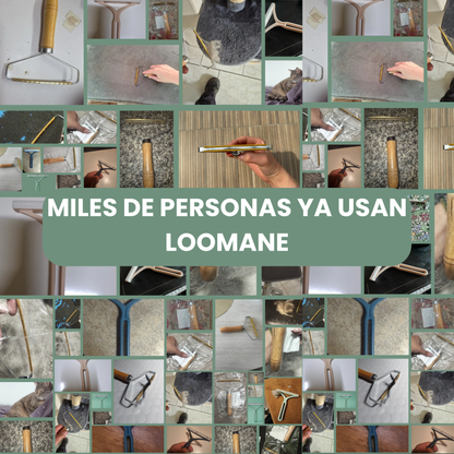 Loomane Elimina Pelusas al Instante + ¡eBook GRATIS!
